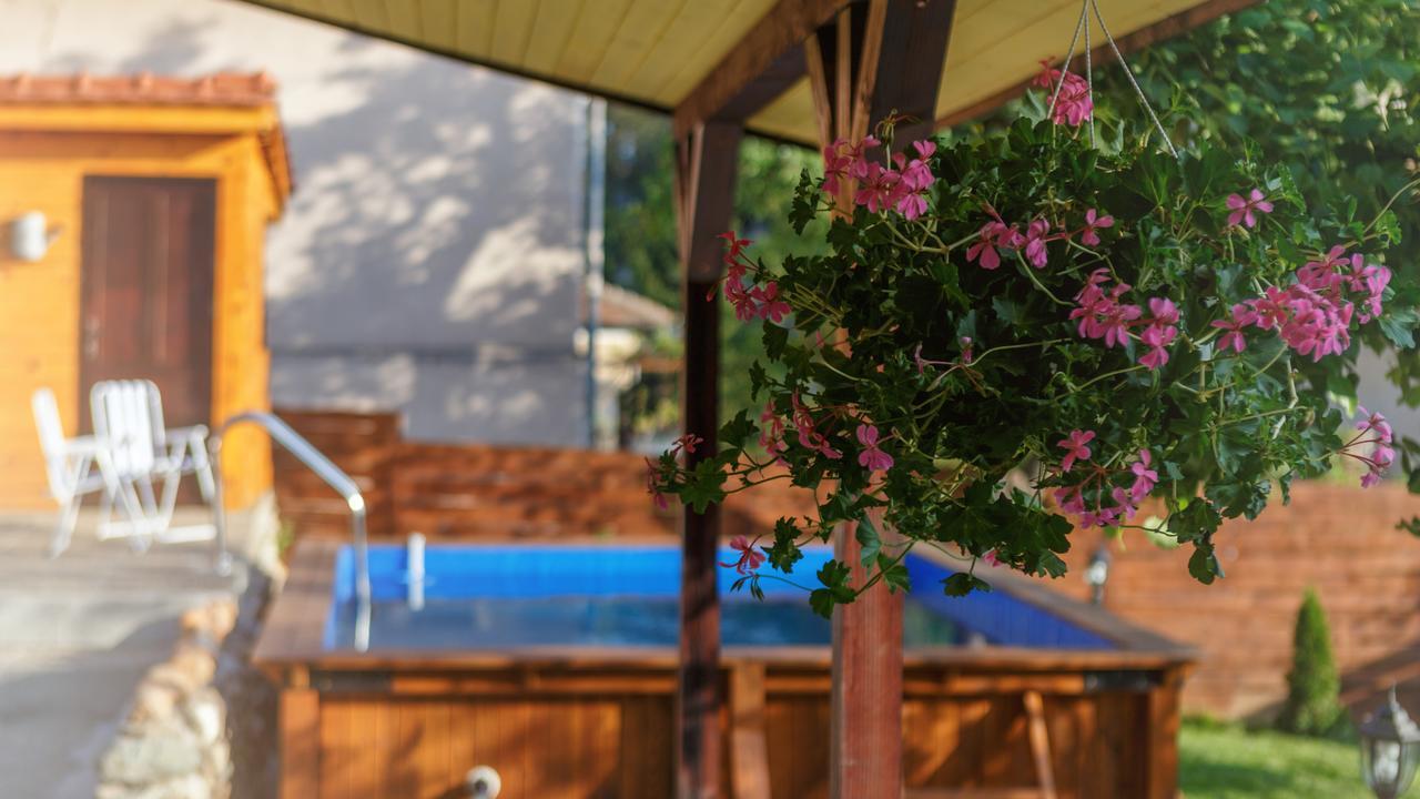 Villa Rose Belogradčik Exteriér fotografie